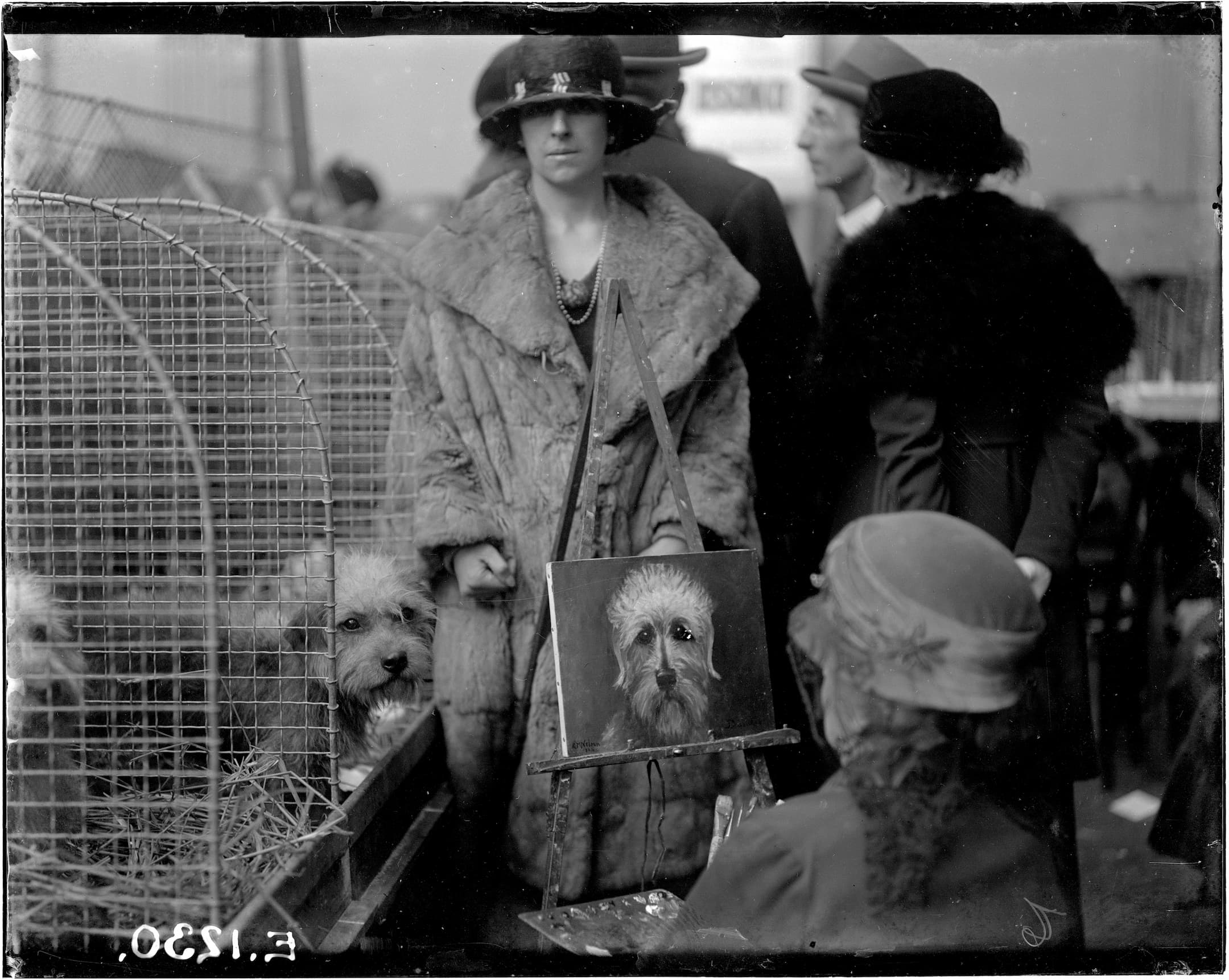 a woman paints a dog and there are dogs in a cage next to a woman in a fur coat