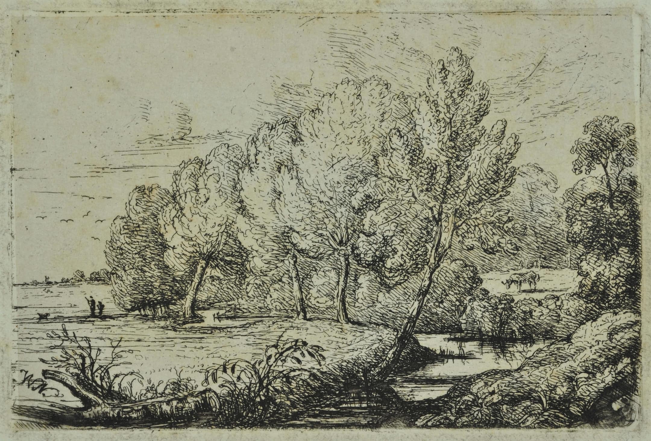 a scene of trees by a river