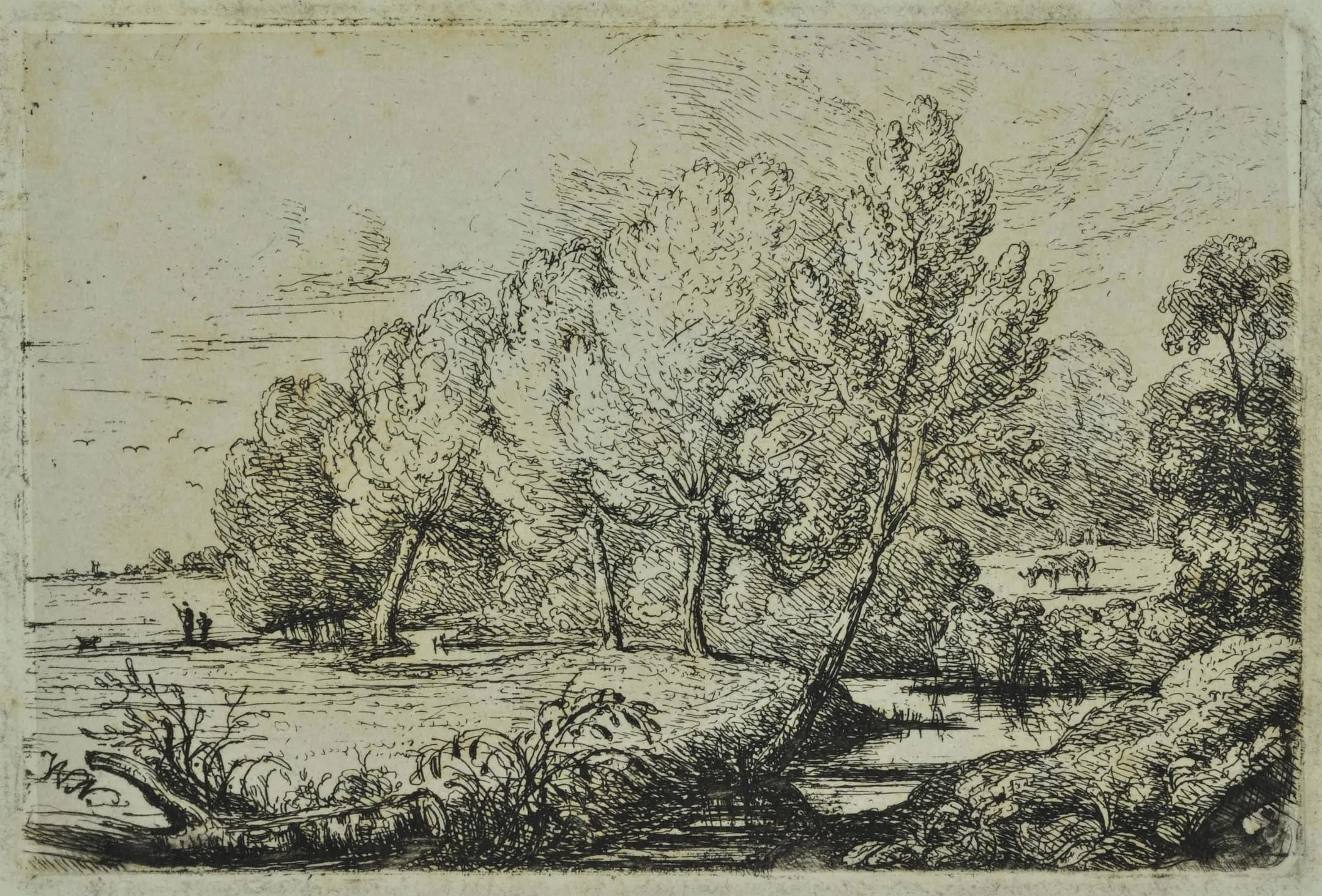 a scene of trees by a river