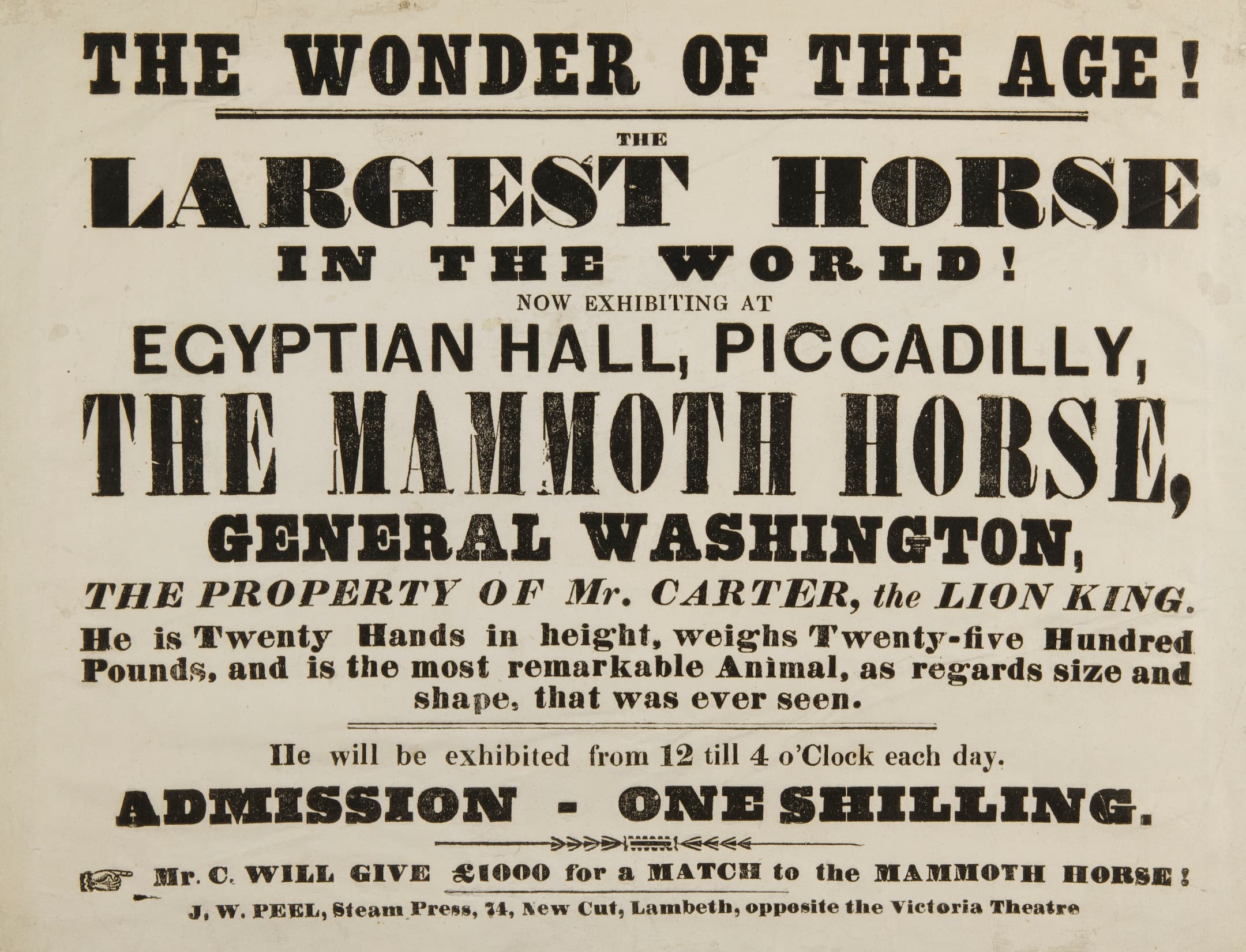 an advert with large text for the show of the largest horse in the world