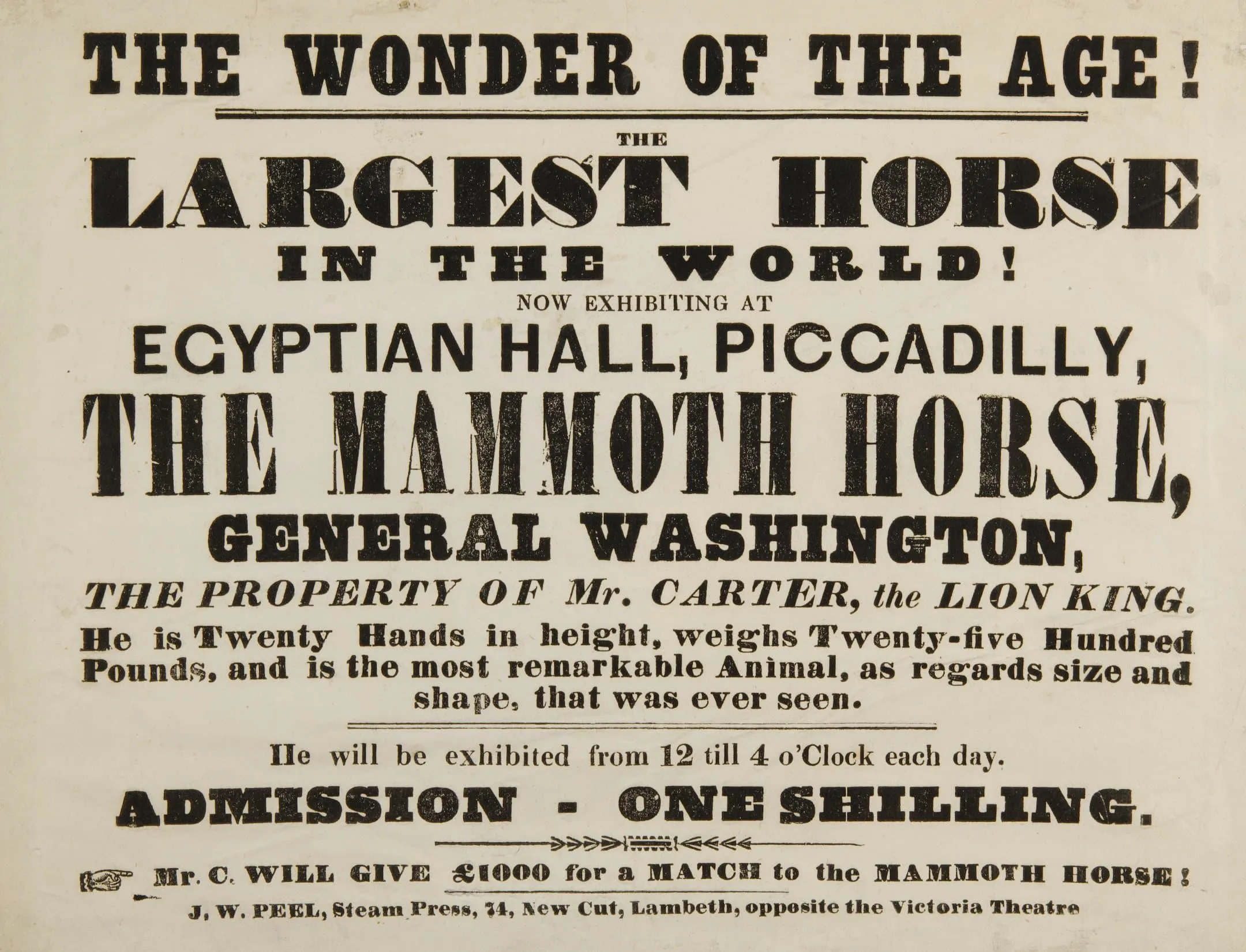 an advert with large text for the show of the largest horse in the world