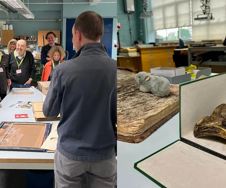 behind-the-scenes-in-conservation