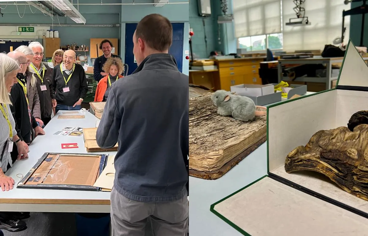 behind-the-scenes-in-conservation