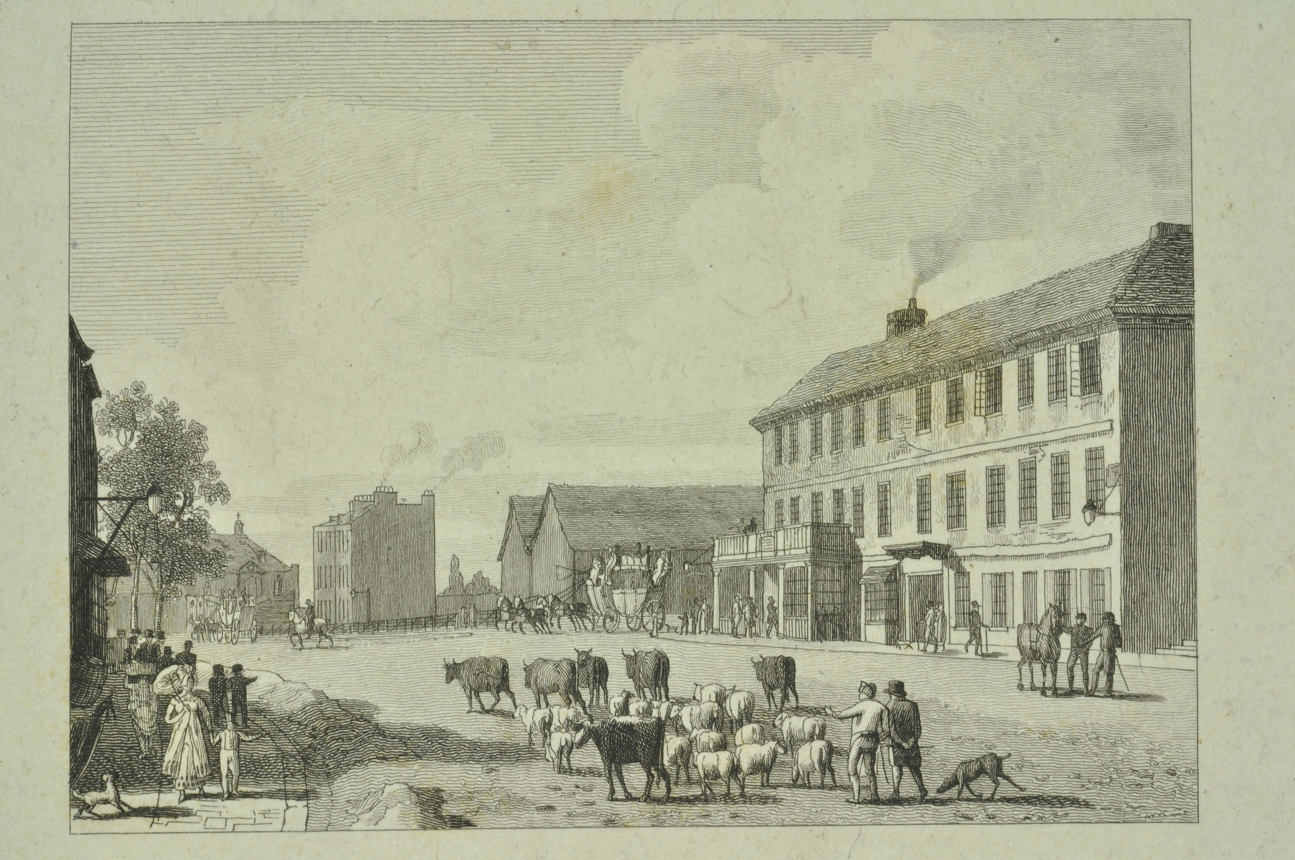 drawing of cattle on Islington High Street with carriage in the background