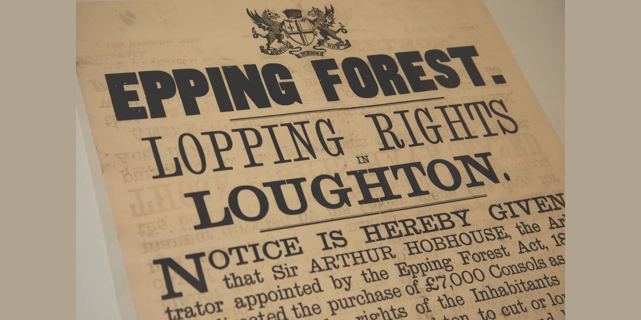 Epping Forest - April