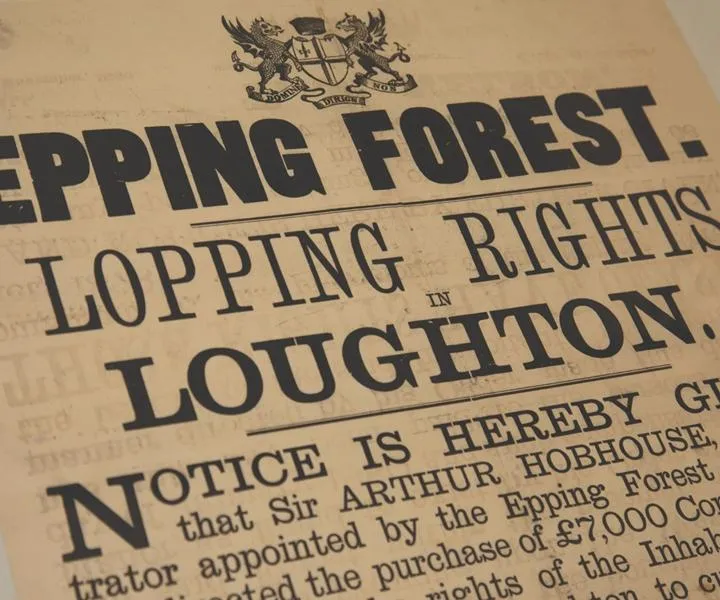 Epping Forest - April