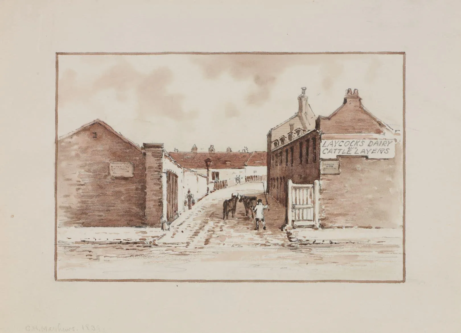 entrance to Laycock's dairy with cattle being herded through the gate