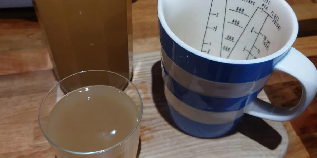 lemon-barley-water-jug