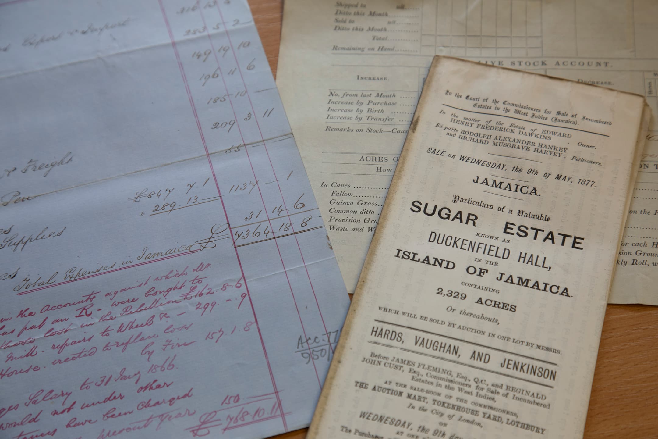 sugar-estate-documents-close-up
