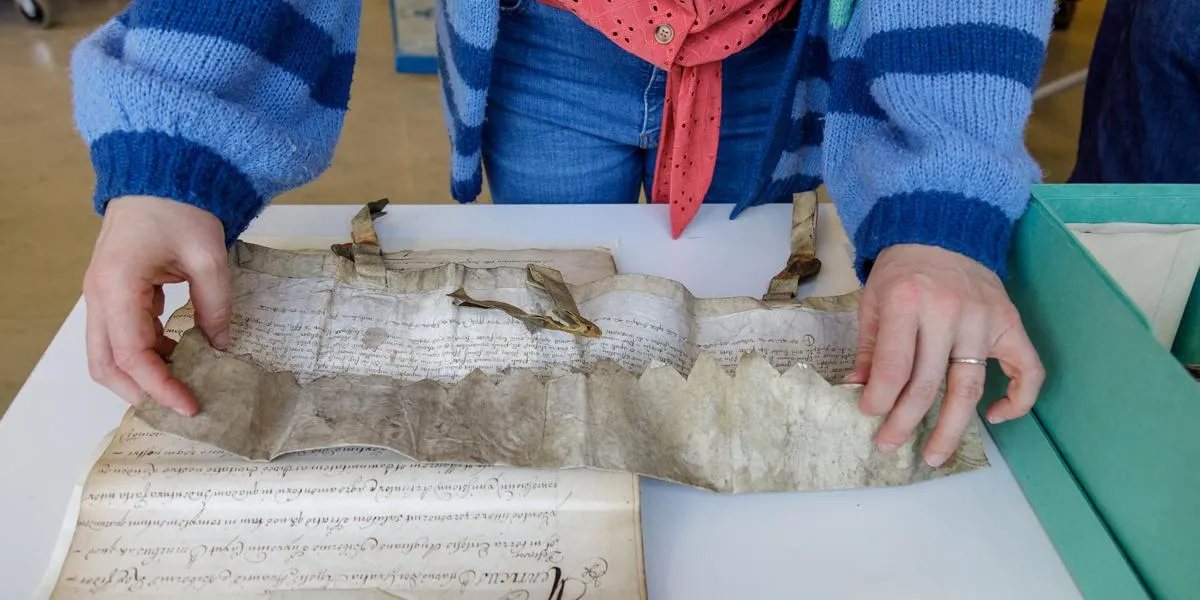 viewing-medieval-documents