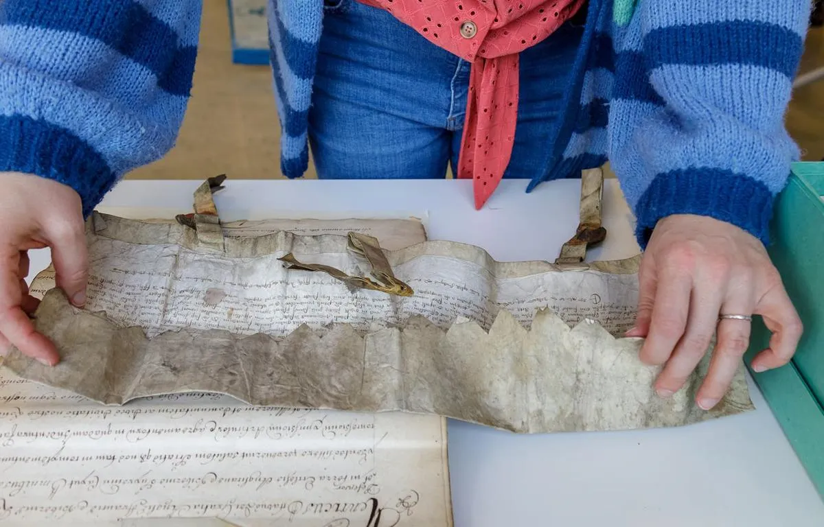 viewing-medieval-documents