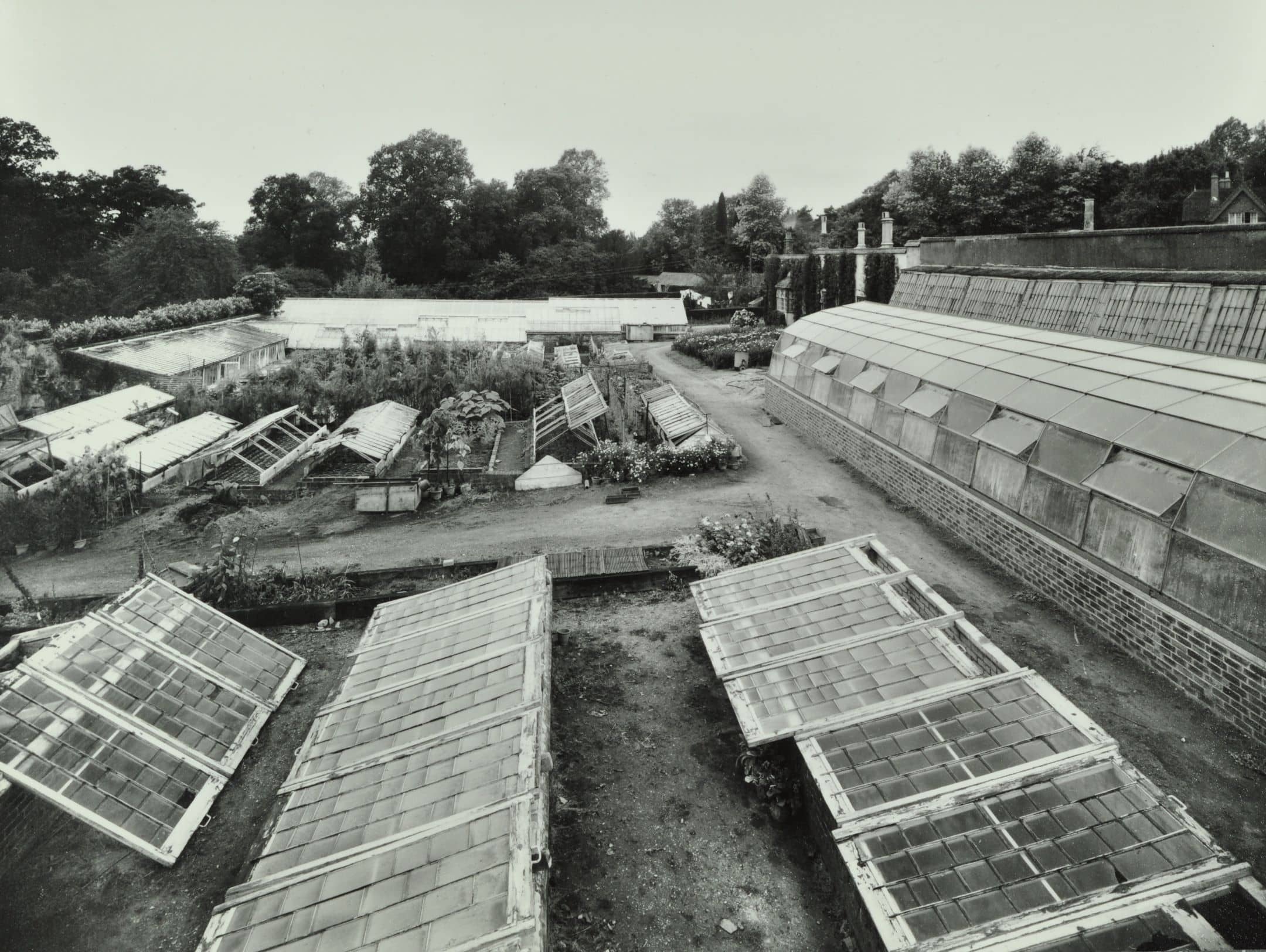  View of greenhouses in Warnham Court School garden, 1954 