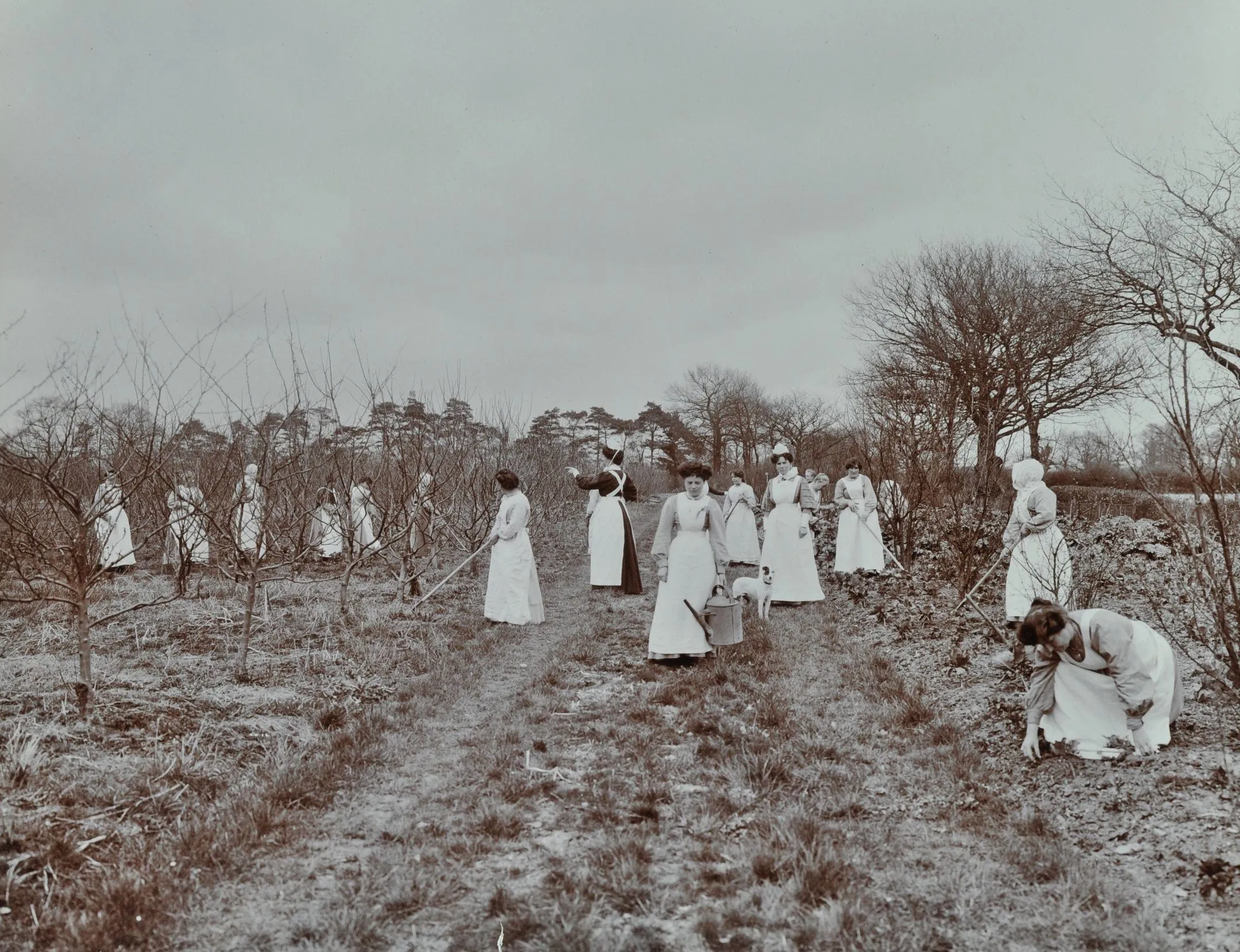 Women farming at Farmfield Reformatory in 1910